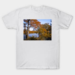 Austin In The Fall - Graphic 1 T-Shirt